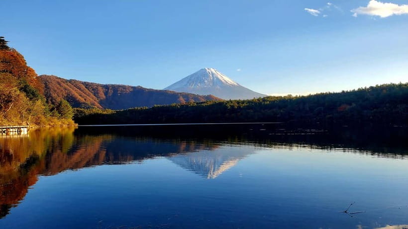 Mount Fuji & Hakone Private Tour with Bullet Train Return - Price and Value: Why $280 Can Make Sense for a Private Day