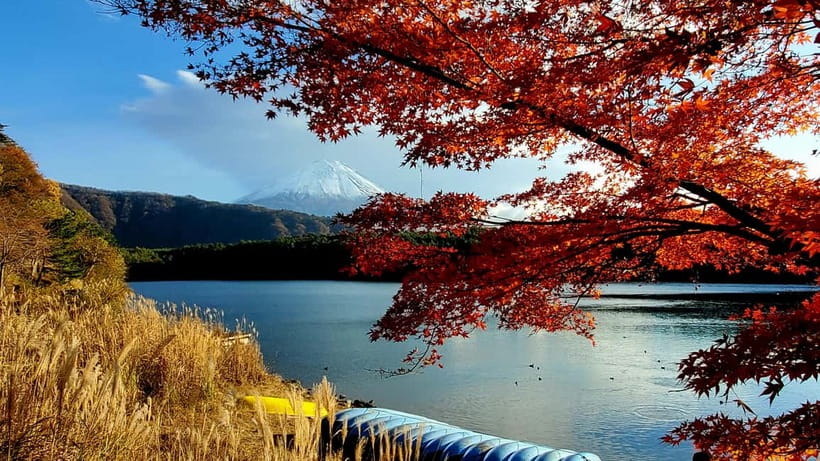 Mount Fuji & Hakone Private Tour with Bullet Train Return - A 10-Hour Private Circuit From Tokyo to Odawara