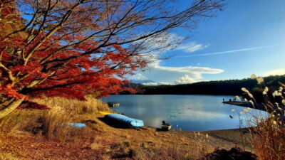 Mount Fuji & Hakone Private Tour with Bullet Train Return - Choosing Your Fuji Morning: 3 of 5 Options That Change the Day