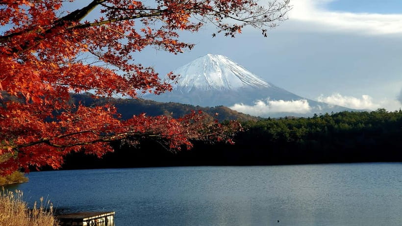 Mount Fuji & Hakone Private Tour with Bullet Train Return - Hakone Ropeway and Lake Ashi: Big Views With a Built-In Flow