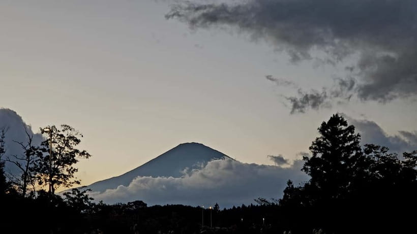 Mount Fuji & Hakone Private Tour with Bullet Train Return - Bullet Train Return From Odawara: The Smooth Ending