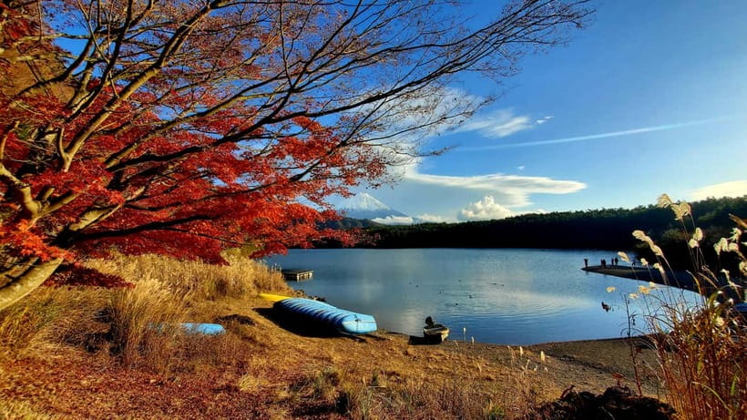 Mount Fuji & Hakone Private Tour with Bullet Train Return - Choosing Your Fuji Morning: 3 of 5 Options That Change the Day