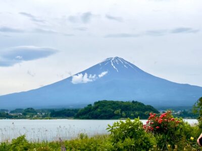 Mount Fuji Hakone with English-speaking Guide - Choosing your route: Mt. Fuji focus vs Mt. Fuji plus Hakone