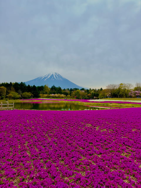 Mount Fuji Hakone with English-speaking Guide - Lake Kawaguchi + Fuji-side towns: scenic breathing room