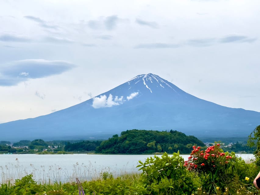 Mount Fuji Hakone with English-speaking Guide - Choosing your route: Mt. Fuji focus vs Mt. Fuji plus Hakone