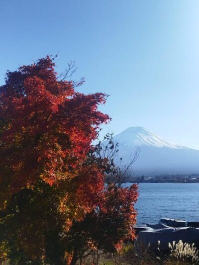 Mount Fuji-Lake Kawaguchi Private Tour with Bilingual Driver - Meeting Mount Fuji: Weather Planning and the 5th Station Reality Check