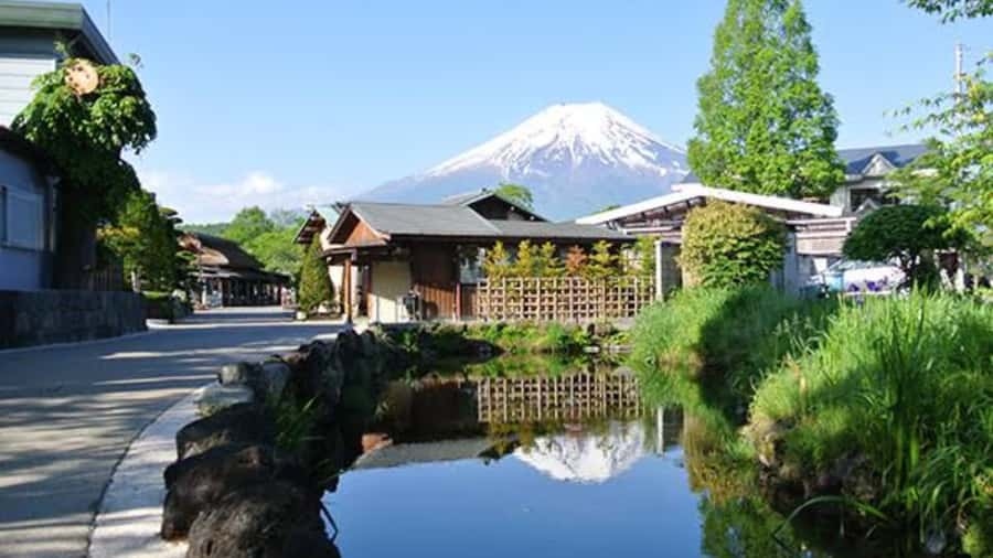Mount Fuji One Day Private Tour With English Speaking Driver - How the Day Flows From Tokyo to Fuji Area Viewpoints