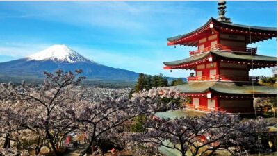 Mount Fuji One Day Private Tour With English Speaking Driver - Price and Value for a Group Up to 6
