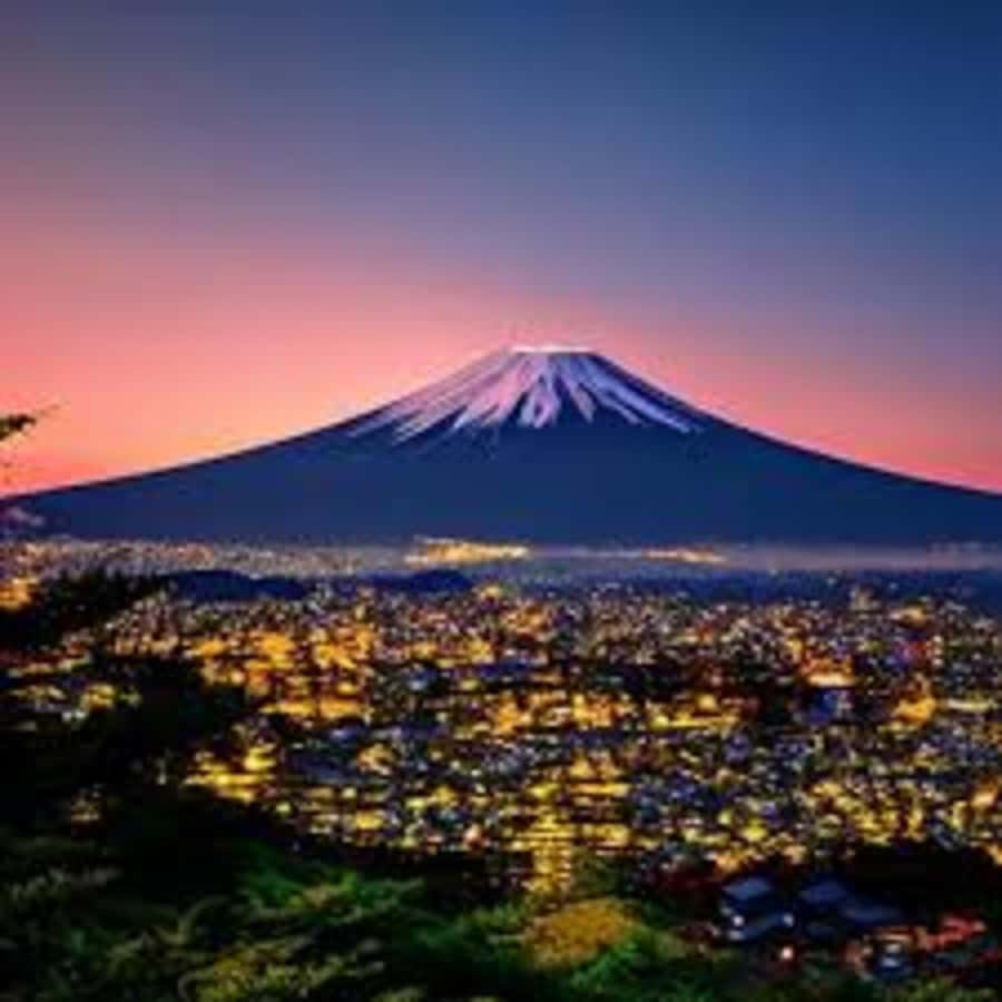 Mount Fuji One Day Private Tour With English Speaking Driver - Chureito Pagoda and the 398 Stairs Reality Check