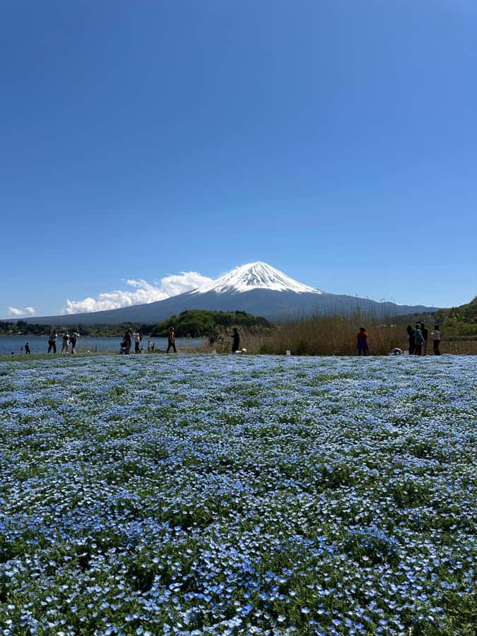 Mount Fuji One Day Private Tour With English Speaking Driver - Lake Kawaguchiko and the Panoramic Ropeway: Efficient Views With Variety