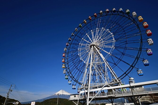 Mount Fuji Passes (optional) - Free thrills and classic Fuji park time: Fuji-Q Highland and Grinpa