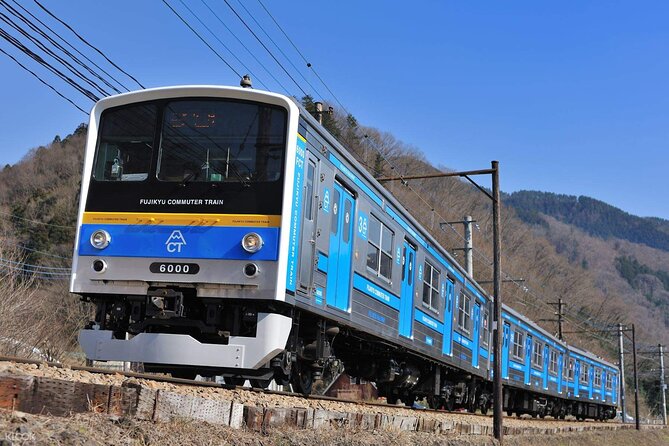 Mount Fuji Passes (optional) - The transport that actually makes sightseeing easy: buses, hop-on freedom, and climbers’ routes