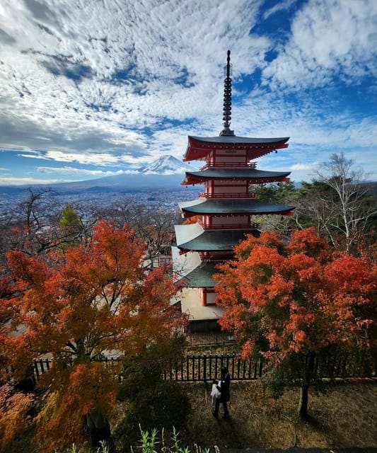 Mount Fuji Private day tour from Tokyo private & Customized - Key Things That Make This Private Mt. Fuji Tour Work