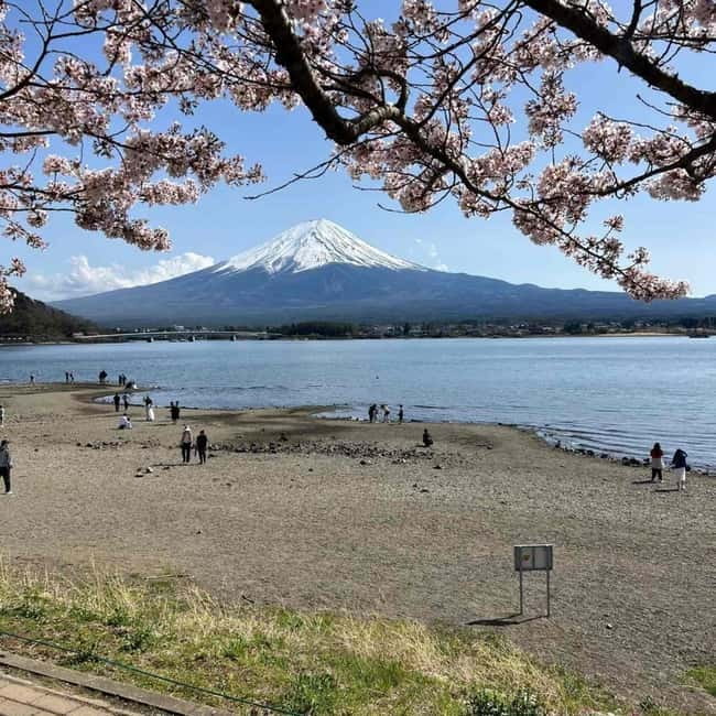 Mount Fuji Private day tour from Tokyo private & Customized - Price and Value for a Private Group Up to Six