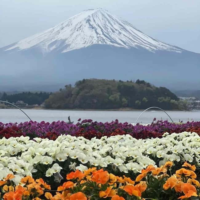 Mount Fuji Private day tour from Tokyo private & Customized - Kitaguchi-hongu Fuji Sengen Shrine and Fujiyoshida: Culture After the Views