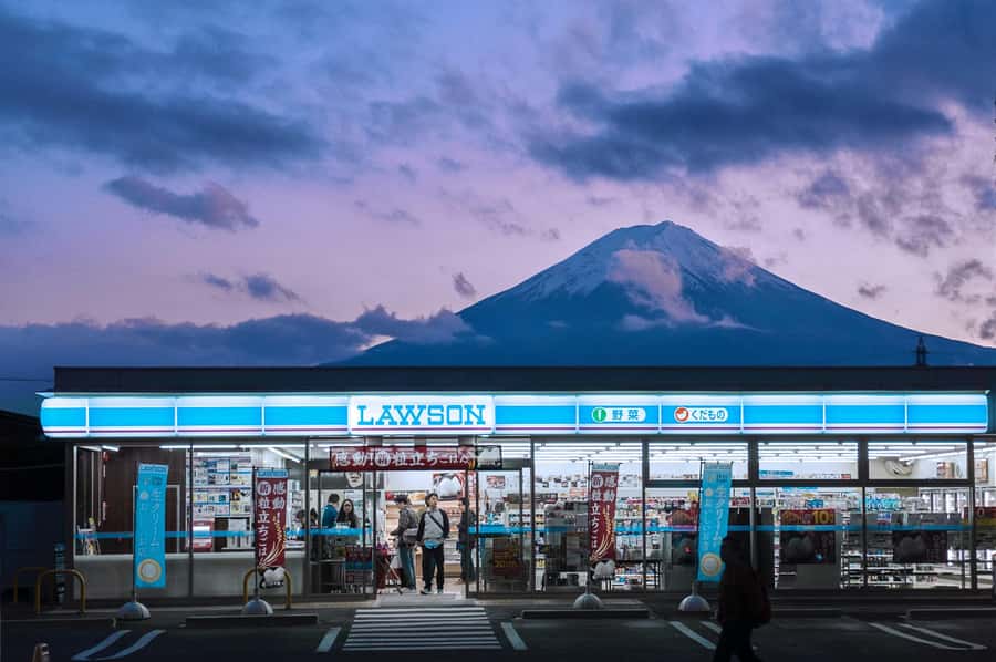 Mount Fuji Private Day Trip With Customizable Itinerary - Tokyo to Fuji and Hakone: what this private setup really buys you