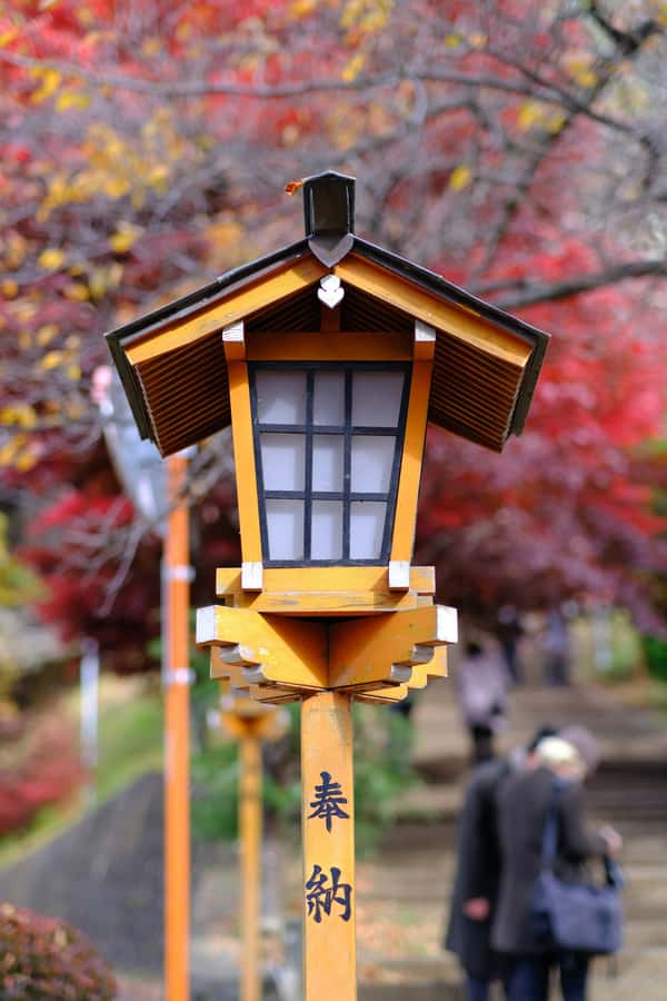 Mount Fuji Private Day Trip With Customizable Itinerary - Cultural stops and etiquette: shrines without the awkwardness