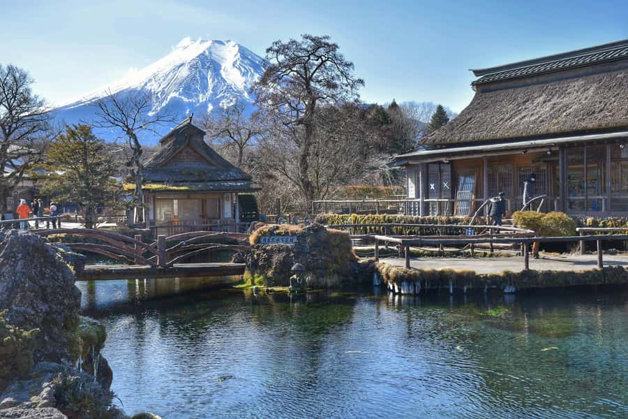 Mount Fuji Private Day Trip With Customizable Itinerary - Price and value: $505 for up to 5, what you’re really paying for