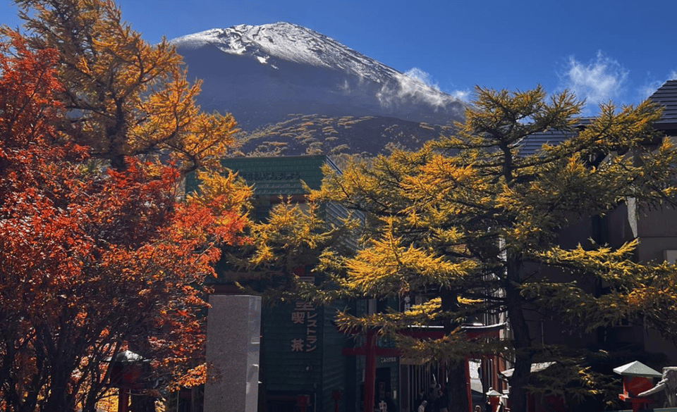 Mount Fuji Sightseeing tour with English speaking guide - Key highlights that make this tour worth your attention