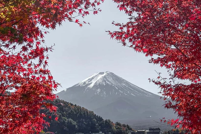Mount Fuji,Lake Kawaguchiko Private Tour By Car With Pick Up - Key takeaways before you go
