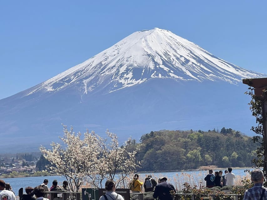 Mount Fuji,Lake Kawaguchiko Private Tour By Car With Pick Up - Lake Kawaguchiko and Oishi Park: where the mountain reflection gets real
