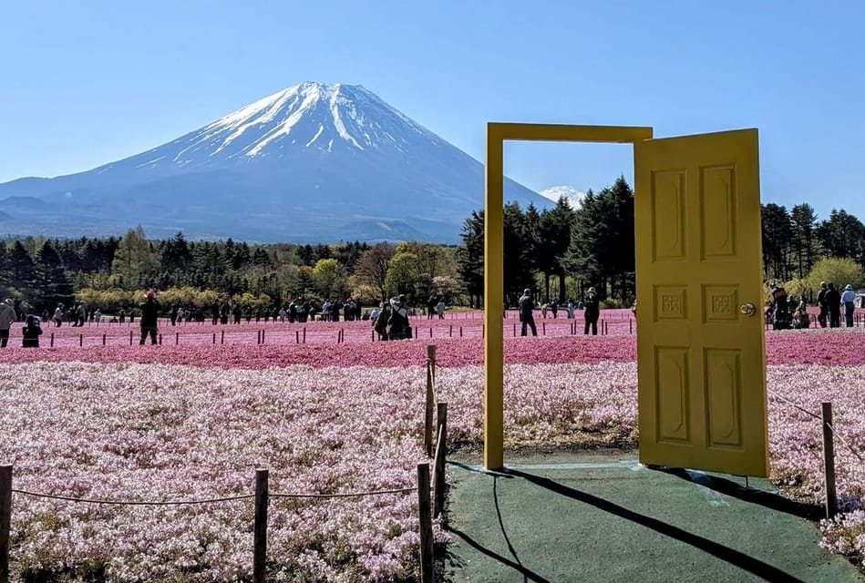 Mount Fuji,Lake Kawaguchiko Private Tour By Car With Pick Up - Guides and pacing: what to request so you get more than a ride