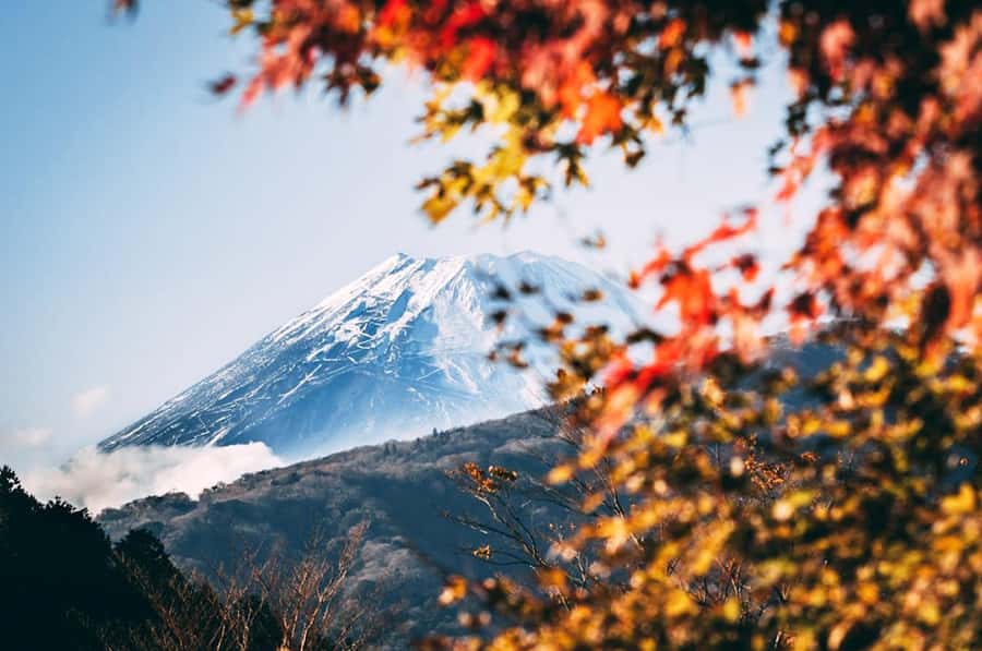 Mt. Fuji 6 Attractions Tour: Lake Kawaguchi, Oshino Hakkai - Price and Logistics: What Your $50 Covers (and What Doesn’t)