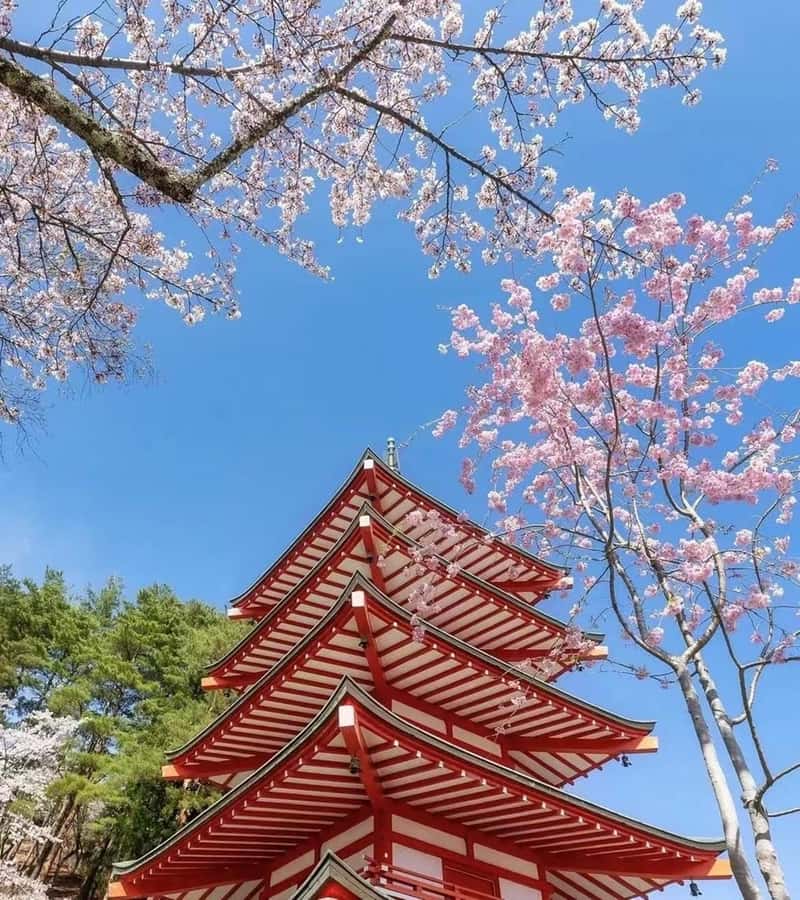 Mt. Fuji 6 Attractions Tour: Lake Kawaguchi, Oshino Hakkai - Arakura Sengen Shrine and Shinkurayama Sengen Park: The 398-Step “Path of Faith”