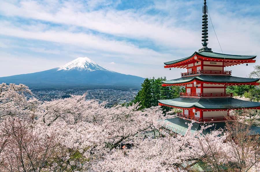 Mt. Fuji 6 Attractions Tour: Lake Kawaguchi, Oshino Hakkai - Hikawa Clock Shop and Honcho Street: Showa Nostalgia and the Sky Ladder Effect