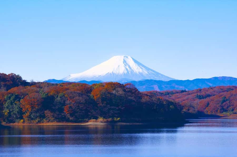 Mt. Fuji 6 Attractions Tour: Lake Kawaguchi, Oshino Hakkai - Oshino Hakkai: Eight Crystal Springs Made From Fuji’s Snow