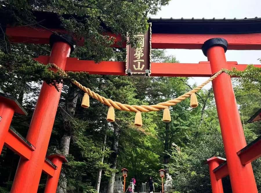 Mt. Fuji 6 Attractions Tour: Lake Kawaguchi, Oshino Hakkai - Lake Kawaguchi Oishi Park: Iconic Fuji Framing With Seasonal Flowers