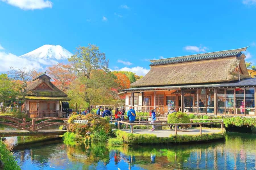 Mt. Fuji 6 Attractions Tour: Lake Kawaguchi, Oshino Hakkai - Seasonal Limited Moments: Maple Corridor and Cherry Blossom Festival