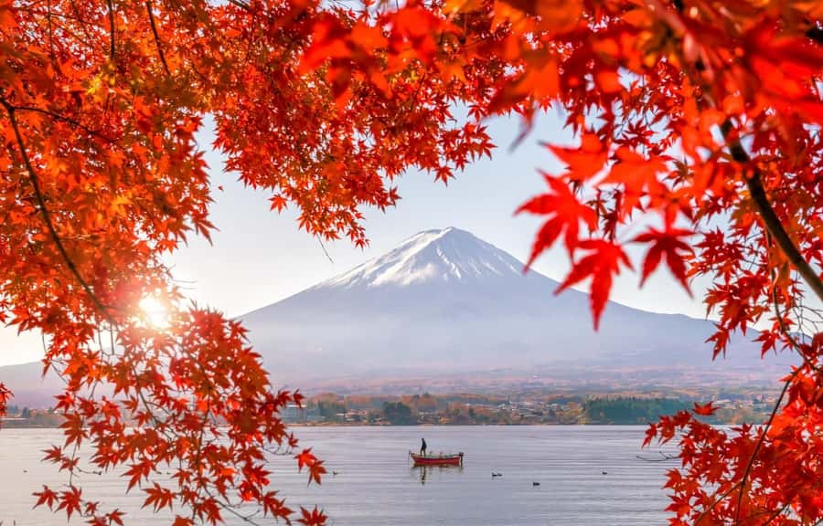 Mt. Fuji 6 Attractions Tour: Lake Kawaguchi, Oshino Hakkai - When to Go: Summer, Cherry Blossoms, Fall Color, Winter Snow