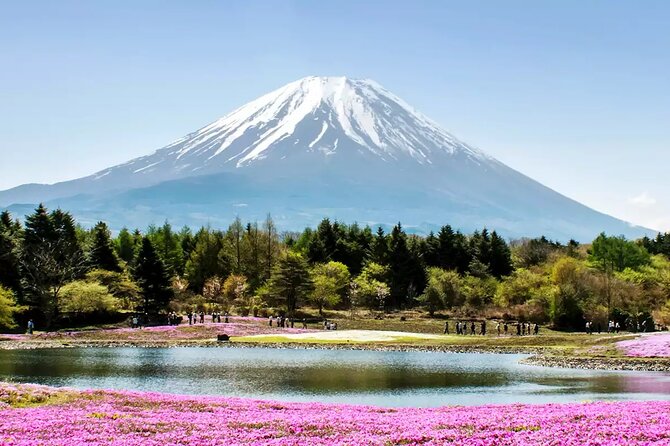 Mt. Fuji and Hakone Private Tour with English Speaking Driver - Lake Ashinoko: Hakone’s slower, wider kind of scenery
