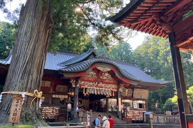 Mt Fuji Area: In-depth Guided Adventure in English or French - Stop 3: Aokigahara Forest—lava origins, caves, and a quieter pace
