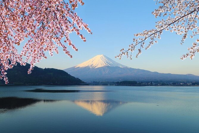 Mt Fuji Area Private Guided Tours in English-Nature up close, quiet, personal - Mount Fuji Viewing Around Lake Kawaguchiko and Lake Saiko