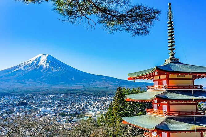 Mt. Fuji Five Lakes Tour with Guide & Vehicle (Kawaguchiko Dep) - Key reasons this Fuji Five Lakes tour works so well