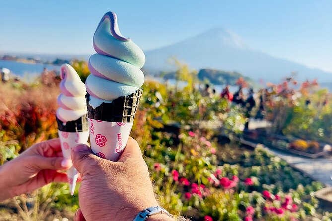 Mt. Fuji & Hakone Cherry Blossom private One Day Tour - Private transport from Tokyo Station: less friction, more pictures