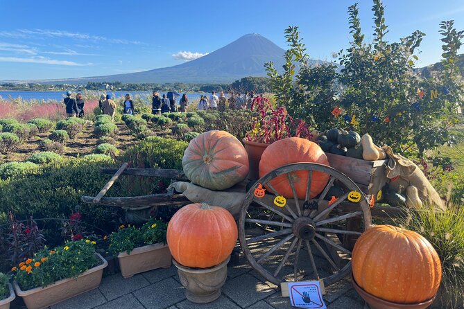 Mt. Fuji & Hakone Cherry Blossom private One Day Tour - Owakudani Valley: volcanic fumes and the black eggs tradition