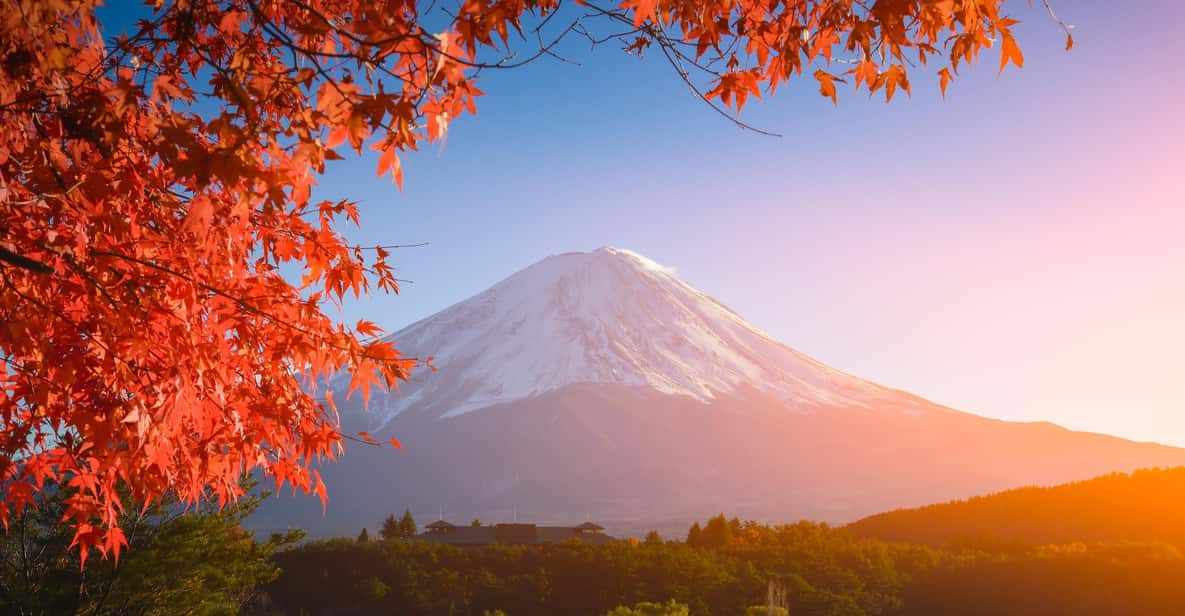 MT.Fuji: Mount Fuji Private day Tour With Guide - Oshino Hakkai Eight Ponds: Lava Water, Clear Views, and Fish That Feel Like a Secret