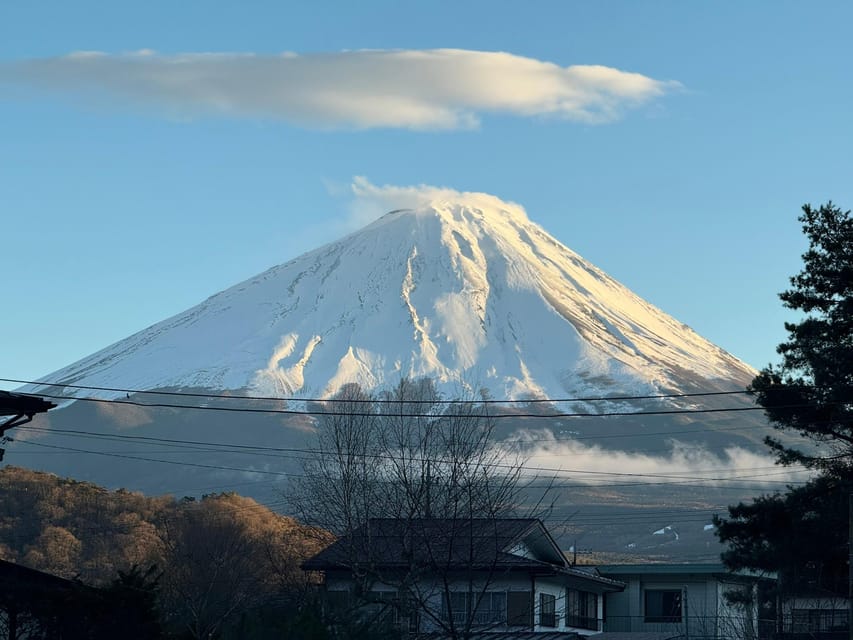 MT.Fuji: Mount Fuji Private day Tour With Guide - Oishi Park: The View Pairing That Makes Mt. Fuji Feel Close