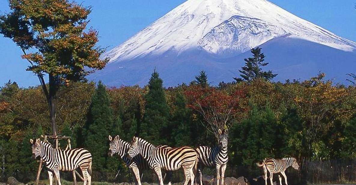 Mt Fuji : Private 10-Hour Luxury Tour by Exclusive Car - Key moments that matter on this Mt. Fuji luxury route