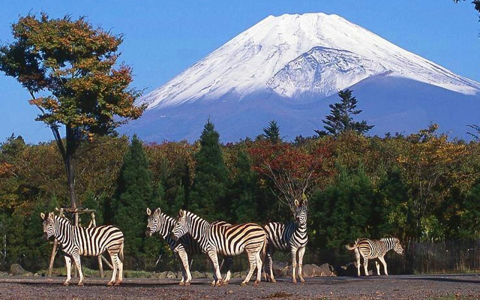 Mt Fuji : Private 10-Hour Luxury Tour by Exclusive Car - Lake Kawaguchiko: where Fuji often looks most photogenic