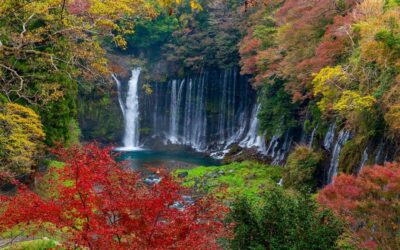 Mt Fuji : Private 10-Hour Luxury Tour by Exclusive Car - Pickup and the 10-hour clock: how to plan your day right