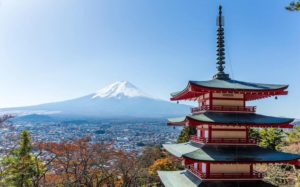 Mt Fuji : Private 10-Hour Luxury Tour by Exclusive Car - Driver communication: comfort is high, language can vary
