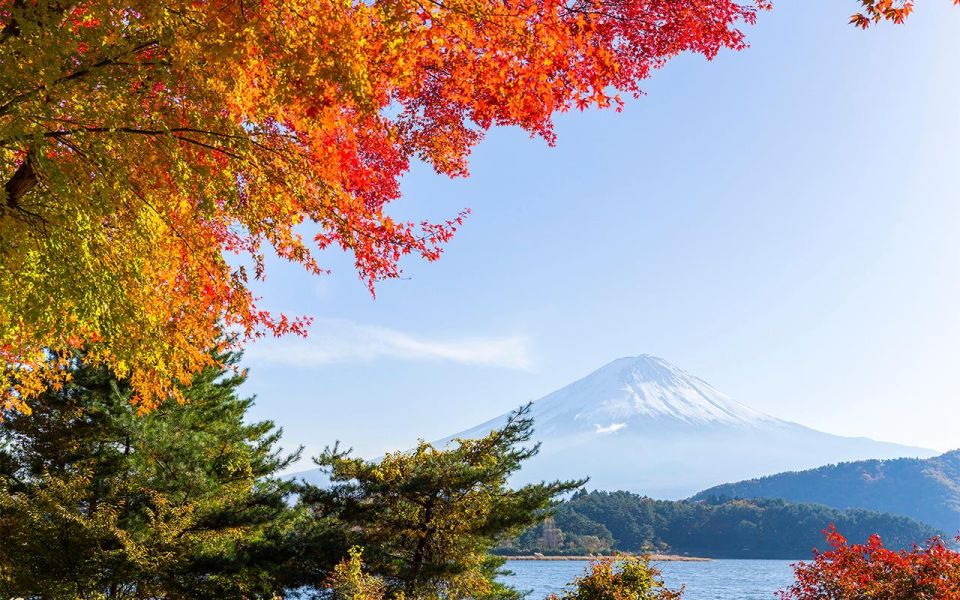 Mt Fuji : Private 10-Hour Luxury Tour by Exclusive Car - Price and value: what $529 per group buys you