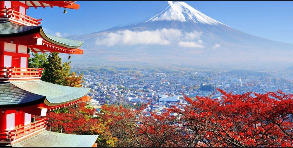 Mt.FUji private Full Day Trip with English Driver - Pickup Zones in Tokyo (and the Important Catch)