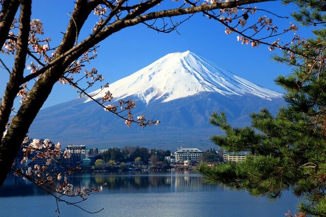 Mt.Fuji Private SightSeeing Day Tour (From Tokyo) - Key points at a glance