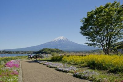 Mt.Fuji Private SightSeeing Day Tour (From Tokyo) - Oshino Hakkai’s Snowmelt Ponds: Clear Water With a Volcanic Source