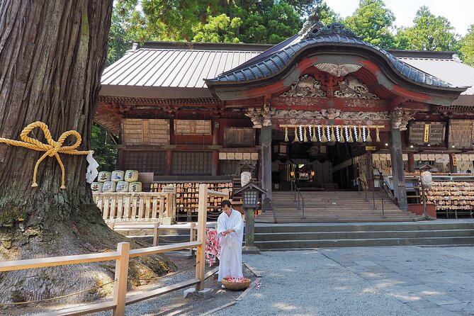 Mt.Fuji Private SightSeeing Day Tour (From Tokyo) - Arakura Fuji Sengen Shrine and Chureito Pagoda Views